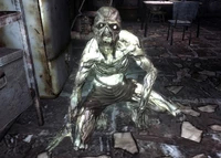 原子太阳，在断钢中圣光修道院中的友好發光種