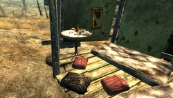 Sexy sleepwear (Fallout 3) | Fallout Wiki | Fandom Sexy sleepwear (Fallout 3) | Fallout Wiki | Fandom