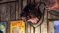 New CAMP objects promotional image