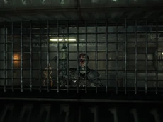 Рой готов спустить диких гулей через подвалы