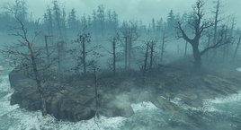 FO4 FH Cranberry Island