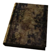 Large Destroyed Book