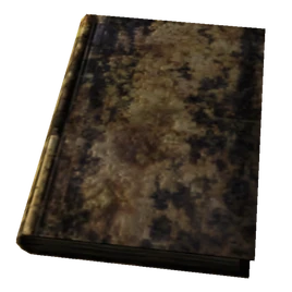 Large Destroyed Book