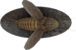 FO4-Mounted-Radroach.png