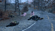 FO76 Mama's Rage.jpg
