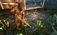 Linden's mushrooms.jpg (1,1 МБ) Клен на прополці грибів