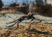 FO4 Bloodbug.jpg