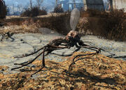 FO4 Bloodbug.jpg