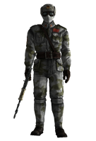 Render of a Chinese soldier with the rifle