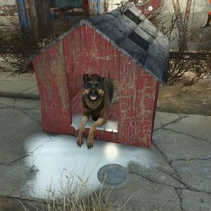 Dogmeat Fallout 4 Fallout Wiki Fandom