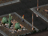 Микки, искатель приключений