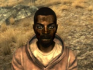 FO3RockCrickHunter2.png (937 KB)