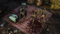Picnic time