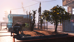 Wasteland Workshop Fallout Wiki Fandom Wasteland Workshop Fallout Wiki Fandom