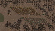 Farrels garden.png