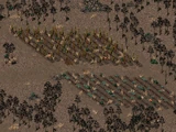 Farrel's garden