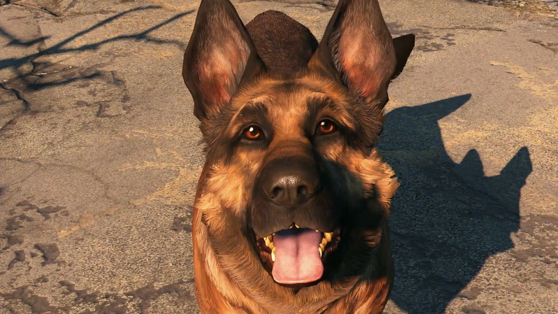 dog meat fallout 3