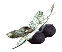 Wild tarberry.png