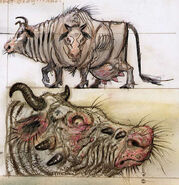 BrahminCA6.jpg (161 KB)