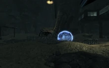 Gabe, barking on entrance of the testing facility