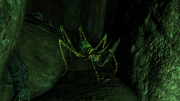 FO76 Cave cricket piercer.png