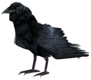 Cuervo en Fallout: New Vegas