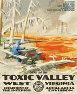 Toxic Valley DOI poster