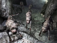 Vicious dogs Warren.jpg (300 kB) Grupo de 5 perros fieros en la guarida, cerca del centro vacacional Bosquecillo tranquilo