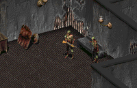 Fo1 Set