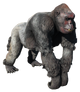 FO4NW Ghoulrilla King.png
