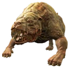 FO4 Mutant hound