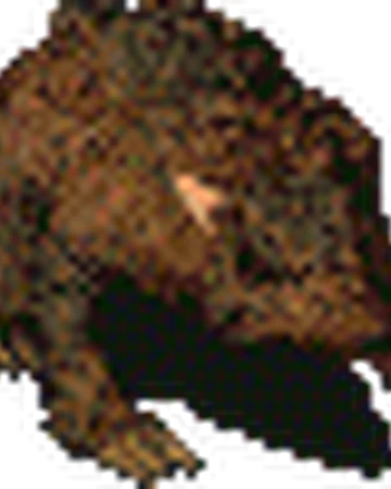 Mole Rat Fallout Fallout Wiki Fandom Both species are similar in many respects. mole rat fallout fallout wiki fandom