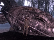 Mister Break.jpg (313 KB)