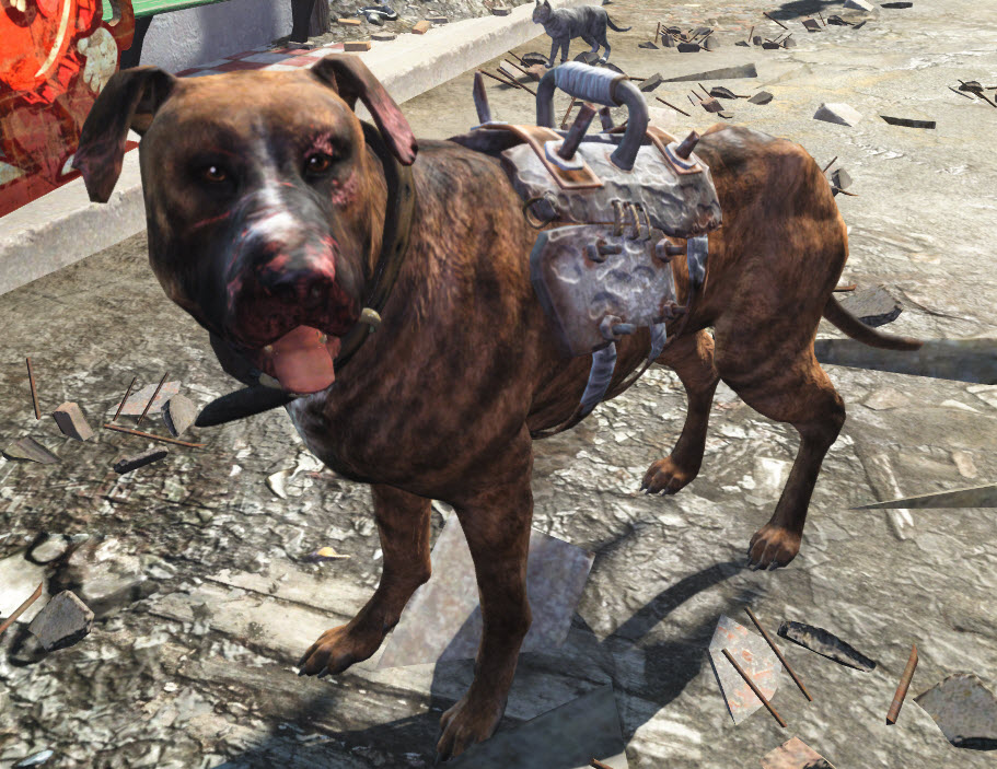 Dog (Fallout 4) | Fallout Wiki | Fandom