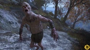 WeakFeralGhoul1TT.png (3.86 MB) Weak feral ghoul