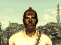 FO3Wasteland doctor9