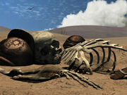 FoT death message.jpg