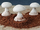 Mushroom Cloud