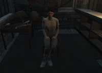 FO4FH harborwoman3.jpg (450 KB)