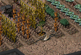 Fo2 Seymour