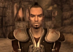 Legionary main gate guard