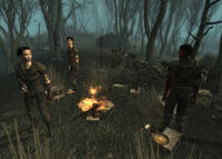 Fo3PL smugglers