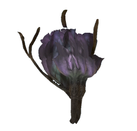 Tato flower