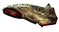 Deathclaw meat.png