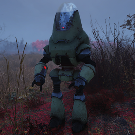FO76 census taker