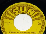 I Forgot to Remember to Forget (song)