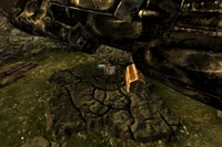 Near Powder Ganger camp west with other goodies