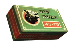 FO4FH .45-70 caliber