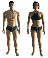 Human.png (316キロバイト) 典型的な人間