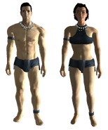 Un mâle et une femelle typique.